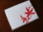 Red leaf card in packaging